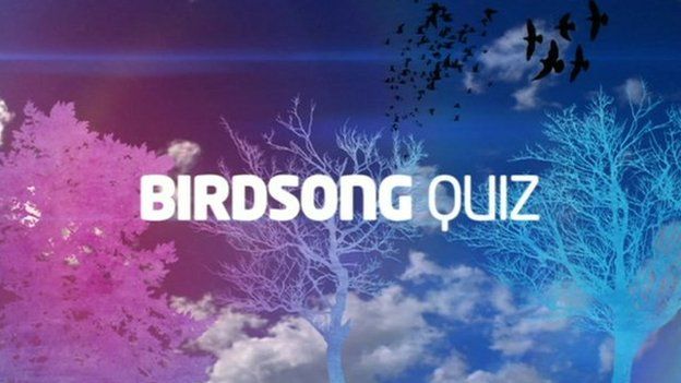 Graphic image with text saying birdsong quiz