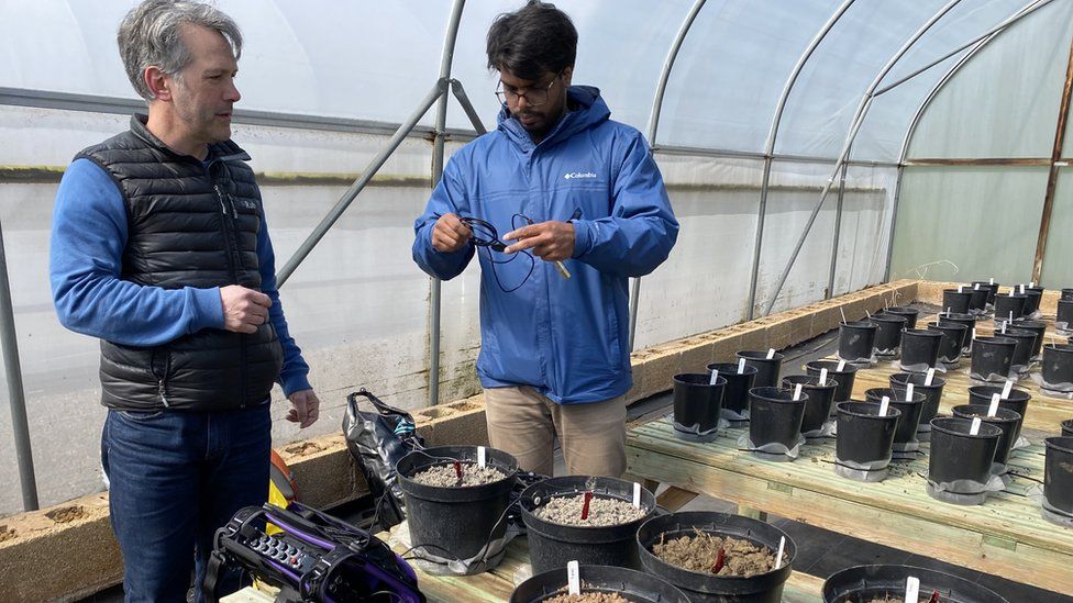 Two men in a greenhouse surrounded by plastic pots filled with soil