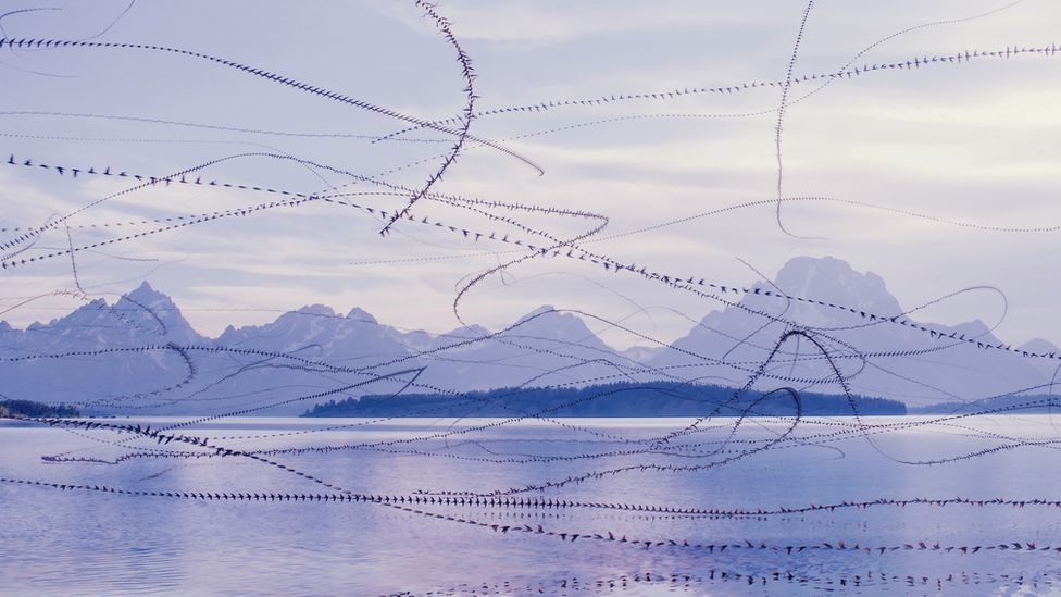 Birds flying in lines over a lake with mountains in the background