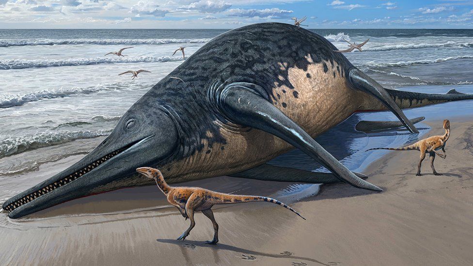 Illustration of a washed-up Ichthyotitan severnensis carcass on the beach.
