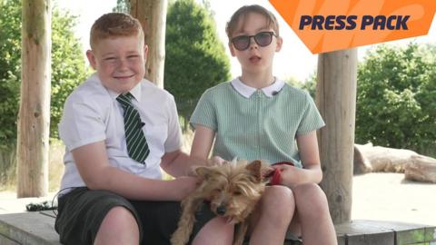 Next it's Press Pack time - and this film comes from a school with a very special four legged student. Get ready meet Buddy the dog