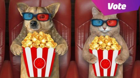 a dog and a cat in the cinema easting popcorn and wearing 3d glasses