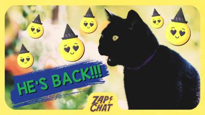 Black cat with text: 'He's back!'.