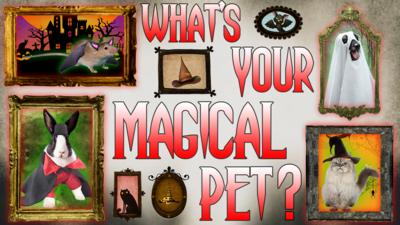 Saturday Mash-Up! - QUIZ: What would your magical pet be?