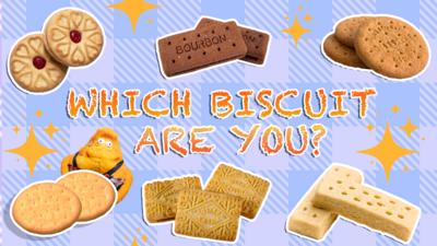Saturday Mash-Up! - QUIZ: Which biscuit are you?
