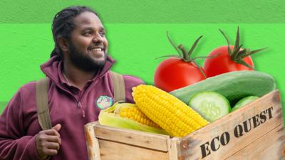 Ranger Hamza's Eco Quest - Learn vegetables with Ranger Hamza