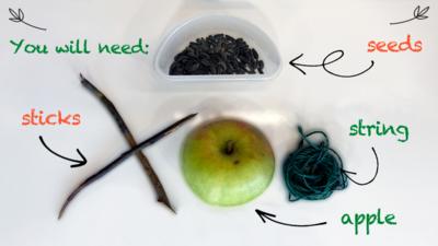 An ingredients page, showing an apple, sticks, string and seeds for the Apple Bird Feeder make.