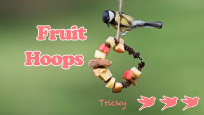 Bird feeders make, showing a blue tit perched on a fruit hoop feeder, with the text 'Fruit Hoop' and three bird stamps saying 'Tricky'.