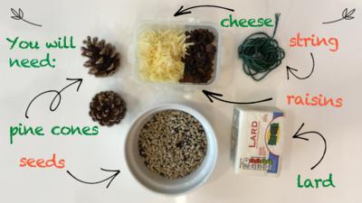 An ingredients page, showing some seeds, string, grated cheese and raisins, lard and pine cones for the bird pine cone feeder make.