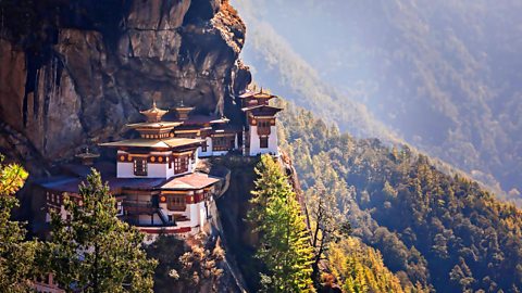 The sacred birds of longevity revered in Bhutan