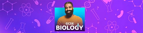 Listen to the biology revision podcasts