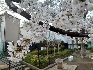 始まりと終わり