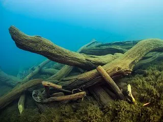 支笏湖ダイビング | 海底遺跡の柱状節理…