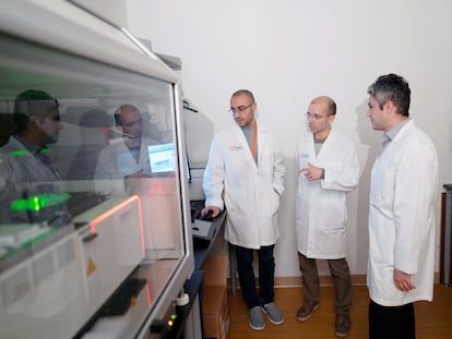 De izquierda a derecha, los científicos Sadeem Qdaisat, Hector Méndez y Elias Sayour, coautores de la vacuna experimental contra el glioblastoma, en la Universidad de Florida.