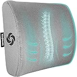 Samsonite SA5244 Ergonomic Lumbar Support Pillow Helps Relieve Lower Back Pain 100% Pure Memory Foam Improves Posture Fits Mo