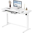 FLEXISPOT Comhar Electric Standing Desk with Drawers Charging USB A to C Port, Height Adjustable 48" Whole-Piece Quick Instal