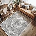 jinchan Washable Area Rug 5x7 Tribal Low Pile Bedroom Rug Stain Resistant Boho Area Rug Distressed Carpet Soft Rug Ultra-Thin