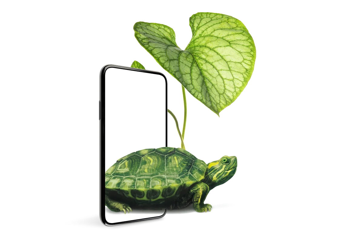 A striking example of the strong safeguard provided by Device Care Complete is shown as a turtle emerges from within a smartphone, its shell shaded by a lush green leaf. 