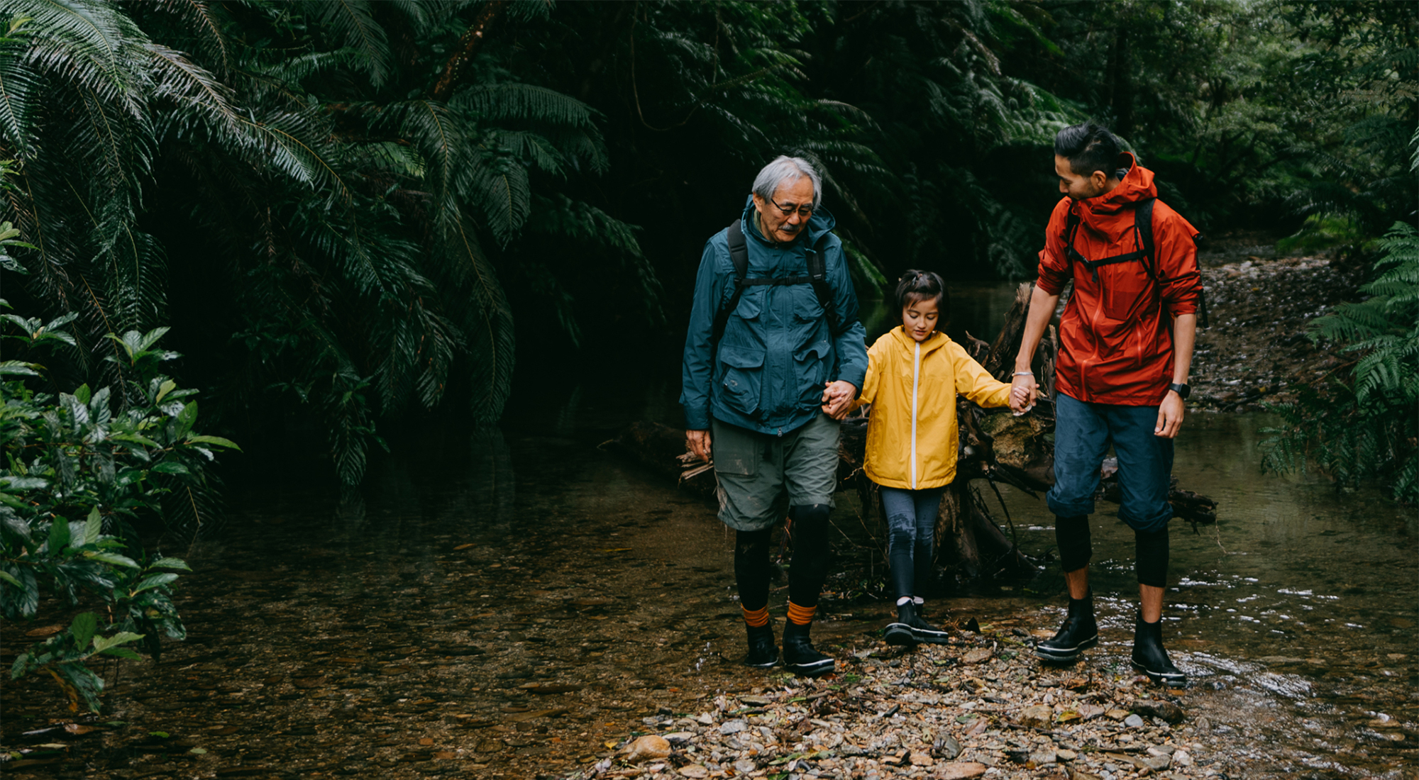 Family walking in forest creek
