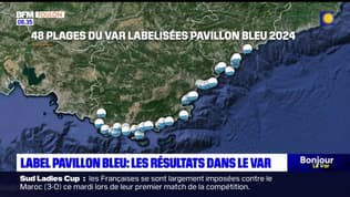 Var: plusieurs plages labellisées Pavillon Bleu dans le département