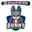 Icon of program: Bunny - Follow and like f…
