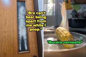 Split image: first half shows a fluffy cat behind a closed door with text "Bro can't bear being apart from me while I poop." Second half shows a corn on the cob with butter melting on top, captioned "Aurora cornealis"