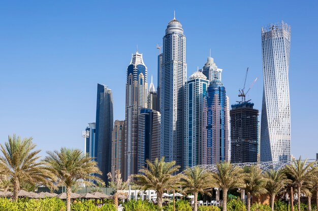 Gratte-ciel et palmiers à Dubaï. Émirats arabes unis