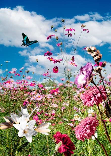 Photo gratuite scène de printemps avec fleurs et papillon