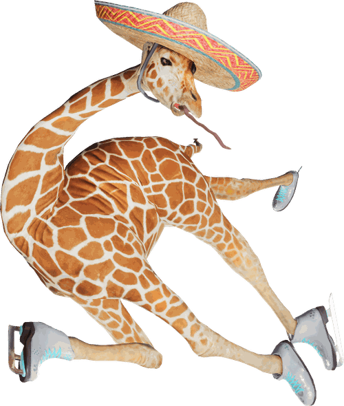 Ice skating giraffe wearing a sombrero