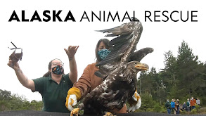 Alaska Animal Rescue thumbnail