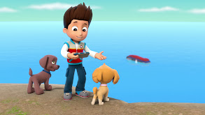 Pups Raise the PAW Patroller; Pups Save the Crows thumbnail