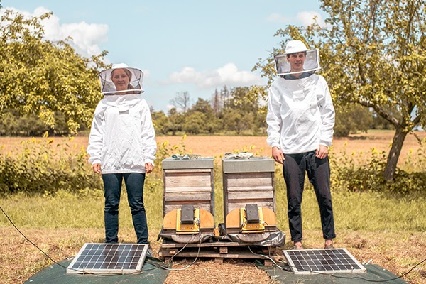 Katharina Schmidt and Frederic Tausch, co-founders of apic.ai, stand in a field next to two bee boxes and two hive monitors.