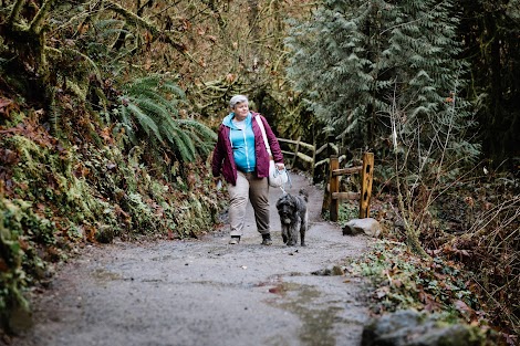 A woman walks with a large grey dog along a lush forest path to unplug from technology.