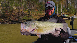 Tennessee Largemouth thumbnail