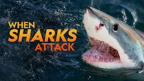 When Sharks Attack thumbnail