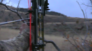Bowhunting Elk in Idaho thumbnail