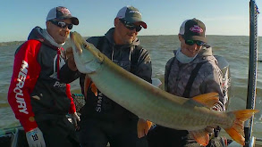 In Search of a Trophy Musky: A Monster Story thumbnail