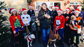 Christmas with the Dog Rescuers thumbnail