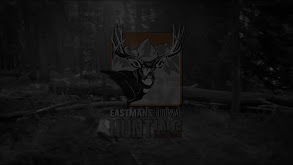 Trophy Elk Hunting in Colorado thumbnail