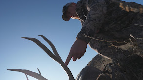 Mule Deer Hunt with the 2019 Eastmans' Hunt Winner thumbnail