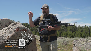 Colorado Elk with the 2020 Eastmans' Hunt Winner thumbnail