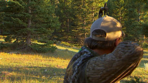 Team Primos Hunts Elk in Colorado Part 2 thumbnail