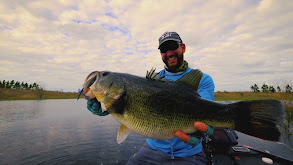 Florida Monster Bass Lakes Shrouded in Heavy Fog thumbnail