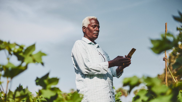 Un hombre indio está parado en un campo y mira su teléfono móvil
