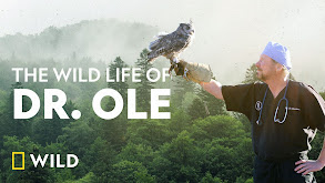 The Wild Life of Dr. Ole thumbnail
