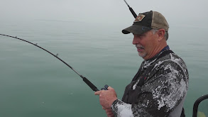 Trolling High Action Crankbaits for Erie Walleye thumbnail