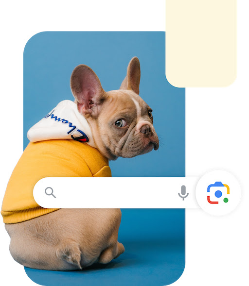 An image of a Lens shopping use case featuring a dog with clothes and an overlaying QSB with the camera icon highlighted.