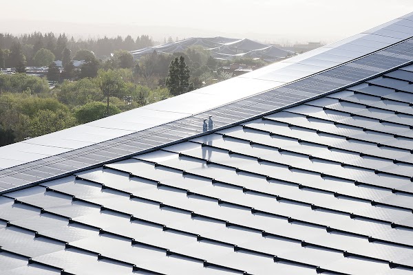A close up of dragonscale solar panel roofing with trees and shrubs peeking out of the background.