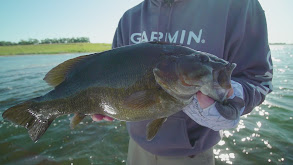 In Search of Record Smallmouth thumbnail