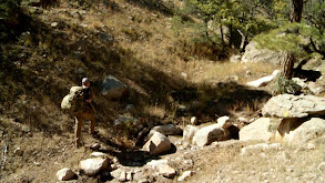 Gila Monster: New Mexico Elk thumbnail